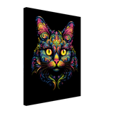 Polychromatic Cat