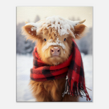 Frosty Highland Calf