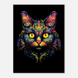 Polychromatic Cat