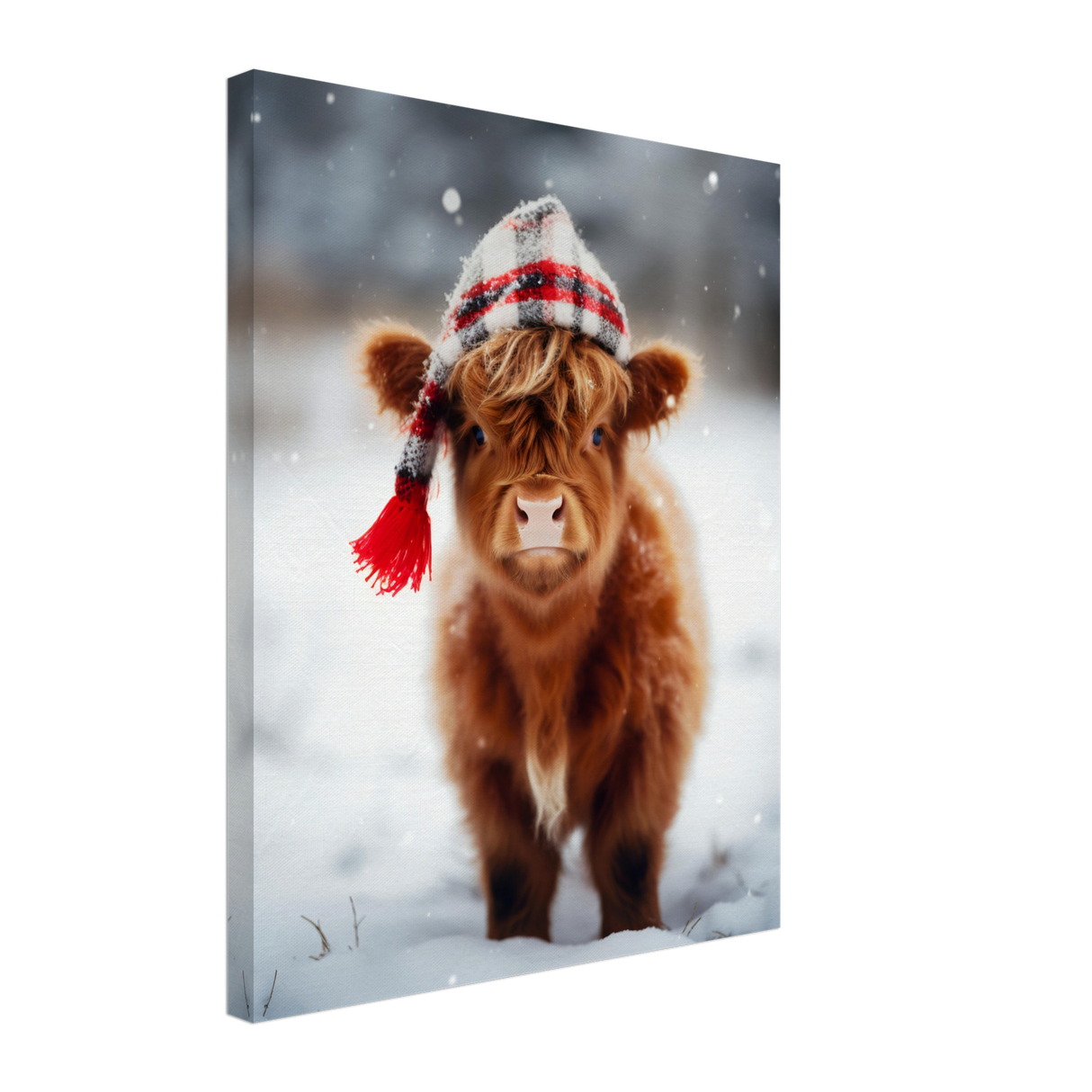 Calf's Cold Winter