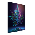 Crystalized Cannabis - WallLumi