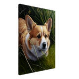 Wild Corgi - WallLumi