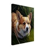 Wild Corgi - WallLumi