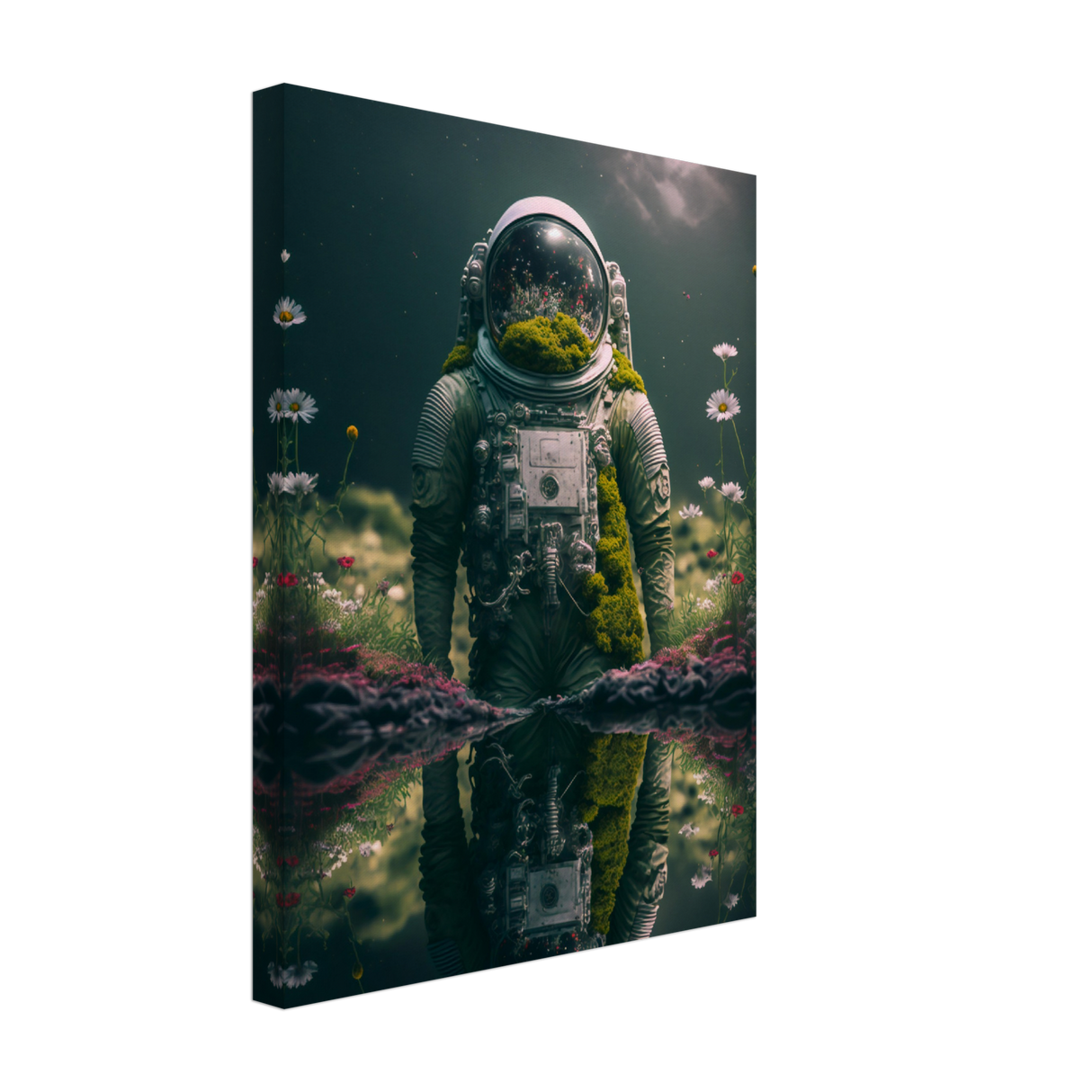 Cosmic Reflection Canvas Print - WallLumi Canvases