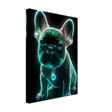 Radiant Frenchie Canvas Print - WallLumi Canvases