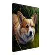 Wild Corgi - WallLumi