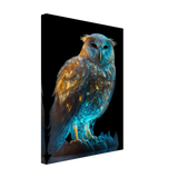 Origin Owl - WallLumi