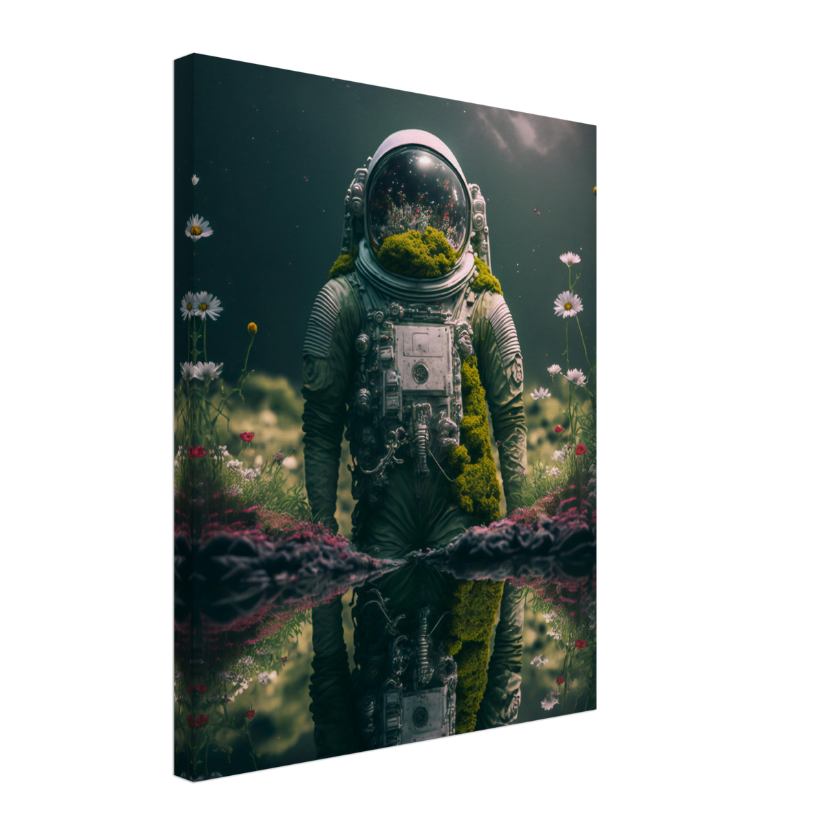 Cosmic Reflection Canvas Print - WallLumi Canvases