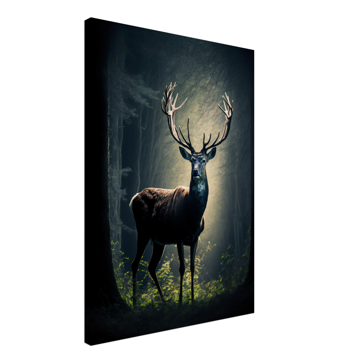 Timberland Buck Canvas Print - WallLumi Canvases