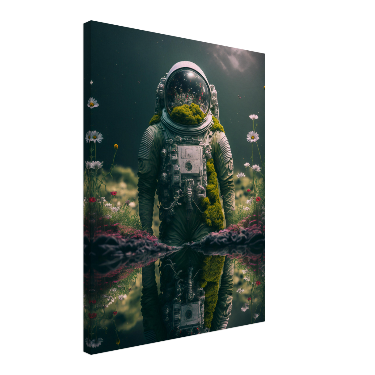 Cosmic Reflection Canvas Print - WallLumi Canvases